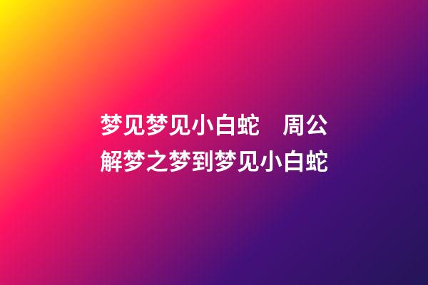 梦见梦见小白蛇　周公解梦之梦到梦见小白蛇